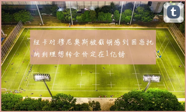 纽卡对穆尼奥斯被截胡感到困惑托纳利理想转会价定在1亿镑